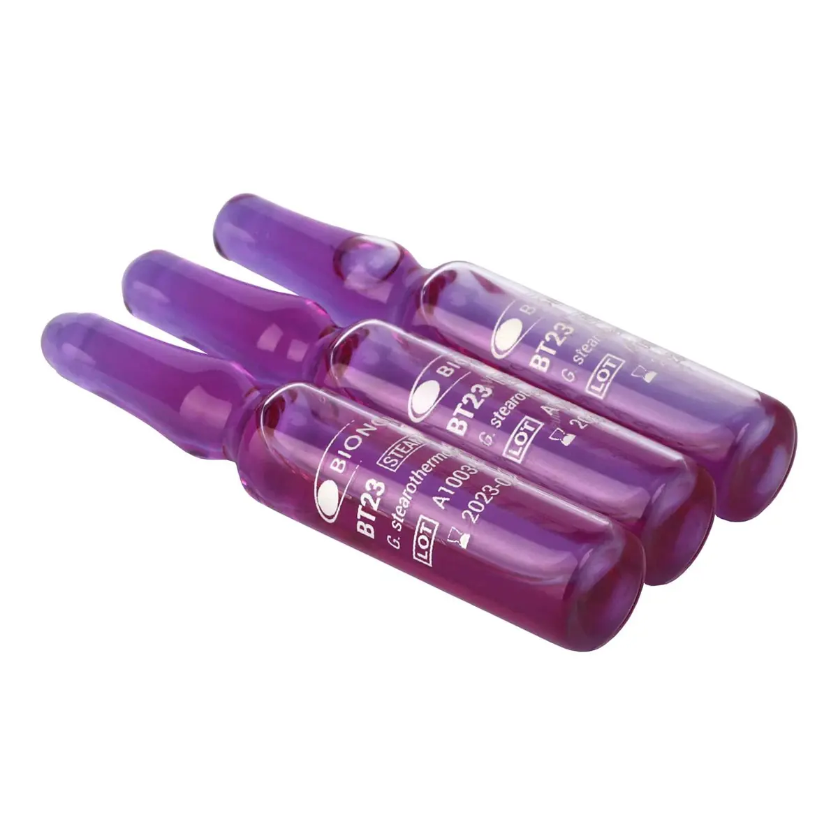 BT23 - Ampolas de esporos autocontidas para vapor 48h
