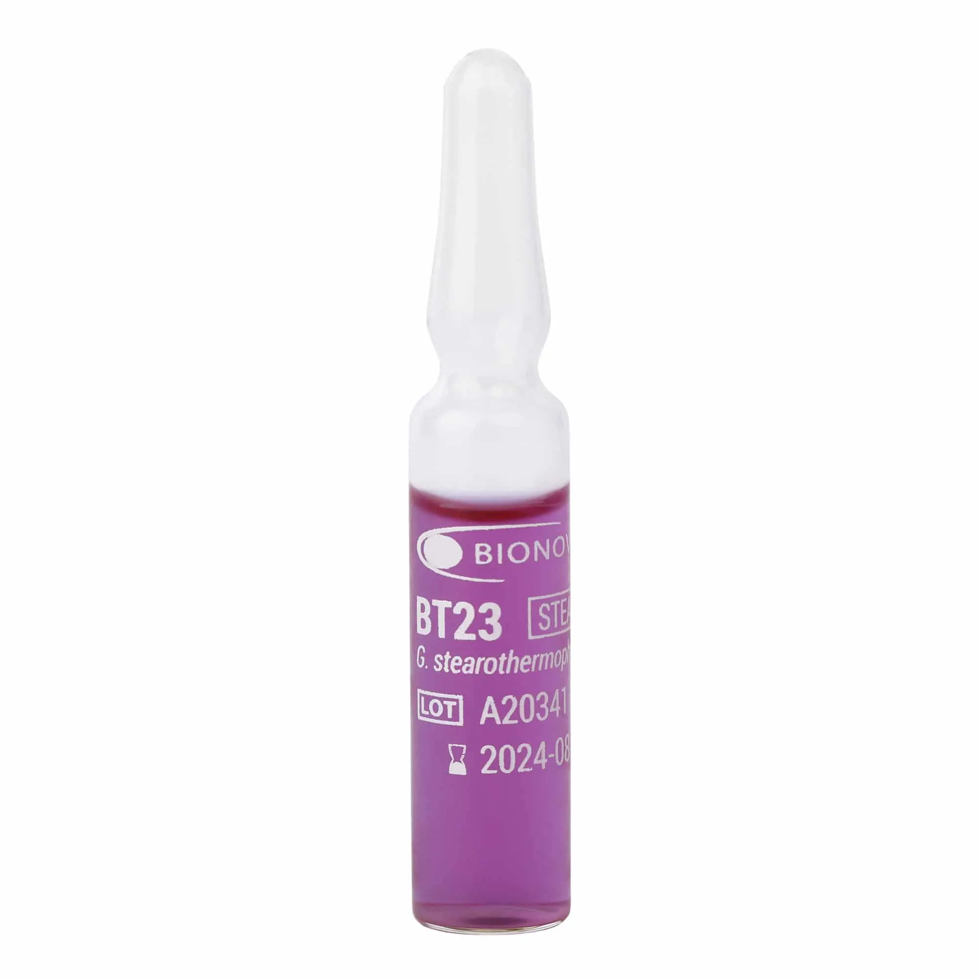 BT23 - Ampolas de esporos autocontidas para vapor 48h - Image 2