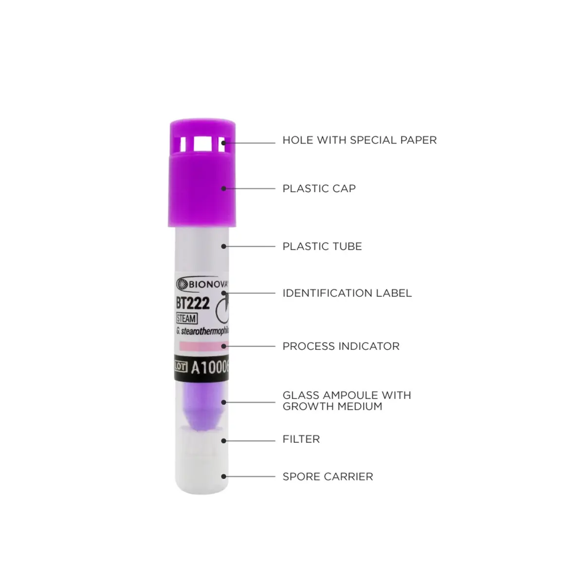 BT222 - Bioindicador para Esterilização a Vapor 1h - Image 2