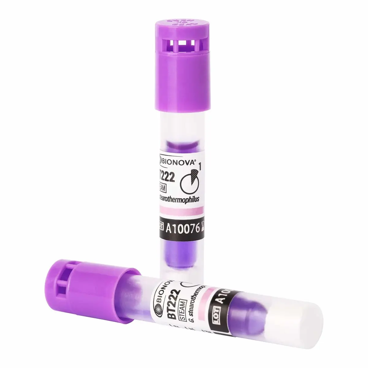 BT222 - Bioindicador para Esterilização a Vapor 1h