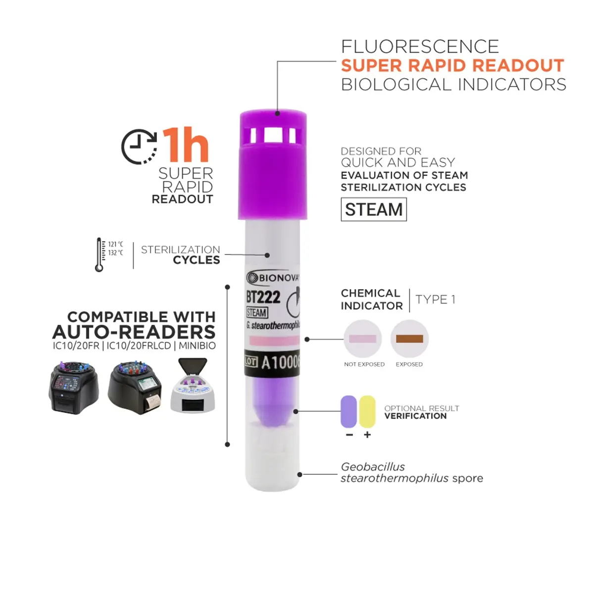 BT222 - Bioindicador para Esterilização a Vapor 1h - Image 3